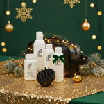 Vánoční dárková sada GR-7® pro muže – tonikum proti šedinám, šampon, vitamíny a masážní kartáč v elegantní tašce